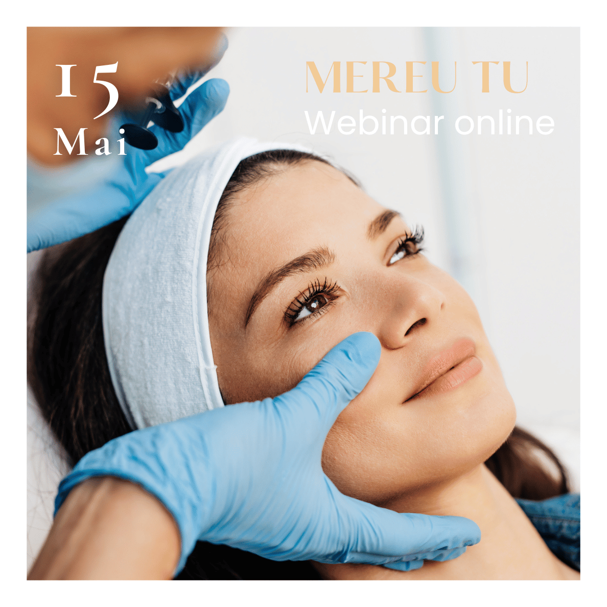 Webinar Mereu TU